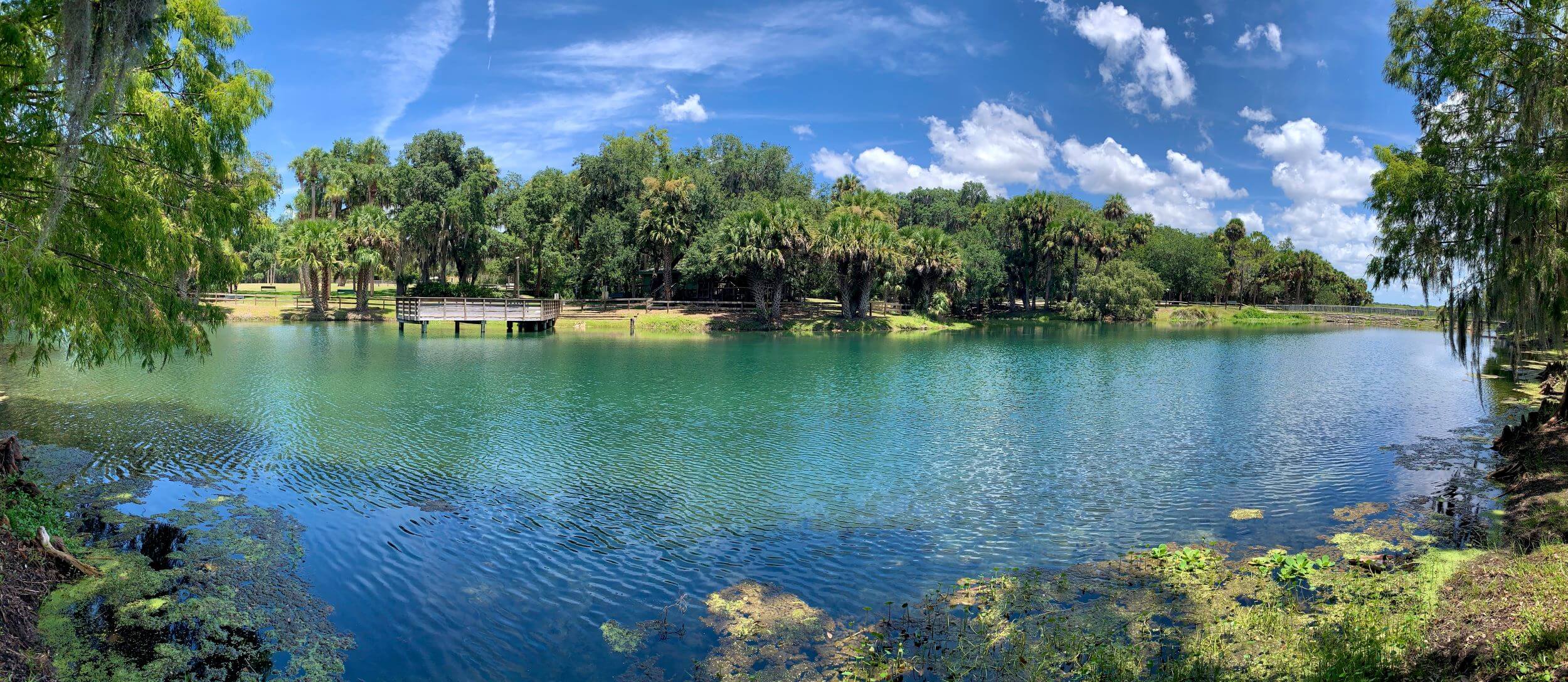 Lake with turquoise water surrounded by palm trees and greenery, under a bright blue sky with scattered clouds, with a wooden boardwalk extending over the water.