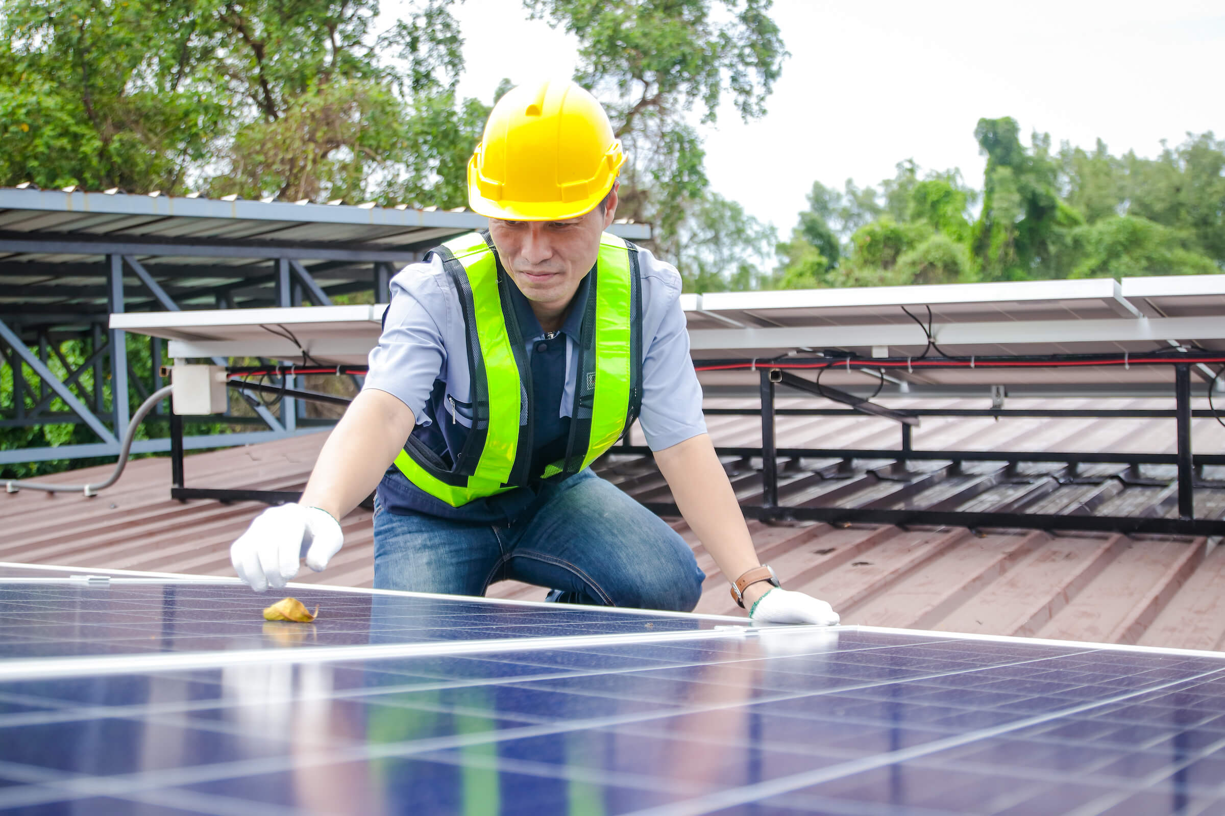 Man picking up a leaf from a solar panel